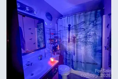 4562 Grassy Creek Road, Denver, NC 28037 - Photo 24