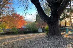 203 Pine St, Candler, NC 28715 - Photo 42