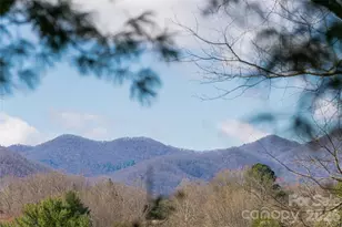 203 Pine St, Candler, NC 28715 - Photo 38