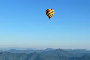 203 Pine St, Candler, NC 28715 - Photo 46