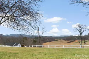 727 Jenkins Valley Rd, Alexander, NC 28701 - Photo 42