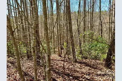 Lot 42, Round Mountain Parkway #42, Lenoir, NC 28645 - Photo 4