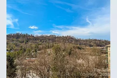 9 Kenilworth Knoll #420, Asheville, NC 28805 - Photo 20