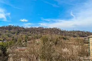 9 Kenilworth Knoll, Asheville, NC 28805 - Photo 20