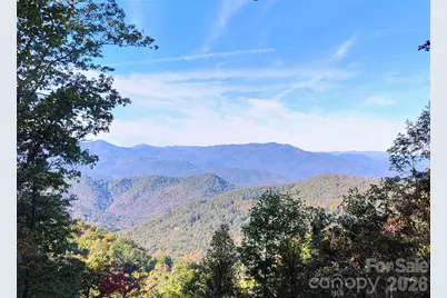 99999 East Alarka Road, Bryson City, NC 28713 - Photo 4