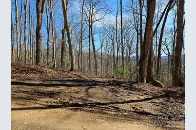 262 Si Knob Road, Cullowhee, NC 28723 - Photo 1