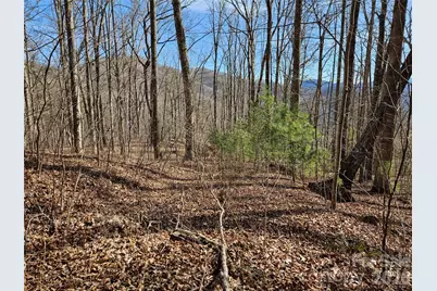 262 Si Knob Road, Cullowhee, NC 28723 - Photo 2