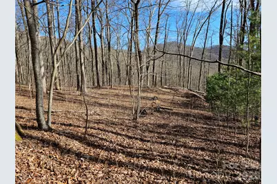 262 Si Knob Road, Cullowhee, NC 28723 - Photo 4