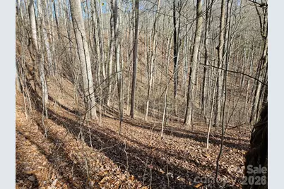 262 Si Knob Road, Cullowhee, NC 28723 - Photo 6