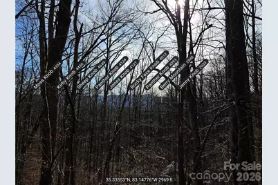 262 Si Knob Road, Cullowhee, NC 28723 - Photo 10