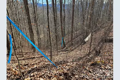 262 Si Knob Road, Cullowhee, NC 28723 - Photo 12