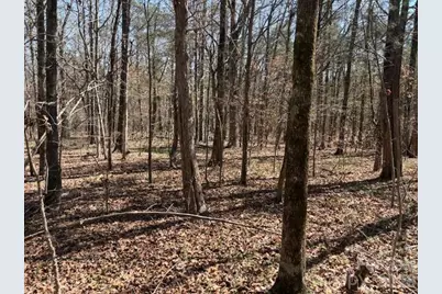 7340 Paul Linker Place, Concord, NC 28025 - Photo 2