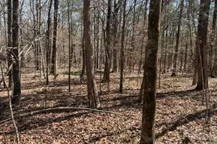 7340 Paul Linker Pl, Concord, NC 28025 - Photo 2