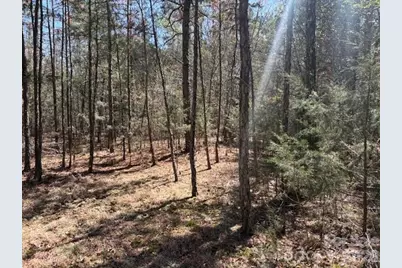 7340 Paul Linker Place, Concord, NC 28025 - Photo 10