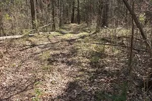 7340 Paul Linker Pl, Concord, NC 28025 - Photo 4