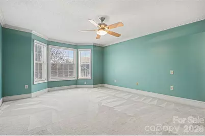 2925 Misty Plum Court, Fort Mill, SC 29715 - Photo 20