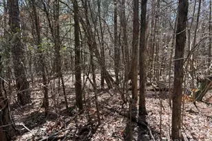 7350 Paul Linker Pl, Concord, NC 28025 - Photo 2