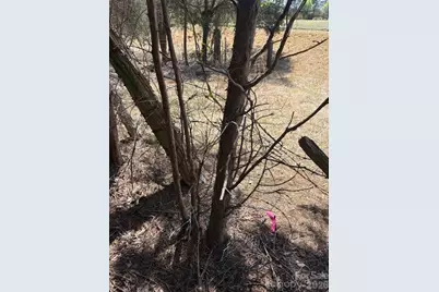 7350 Paul Linker Place, Concord, NC 28025 - Photo 4