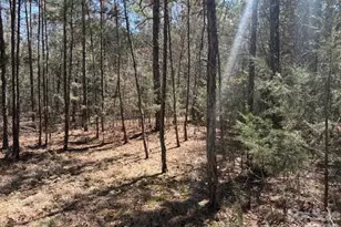 7350 Paul Linker Pl, Concord, NC 28025 - Photo 1