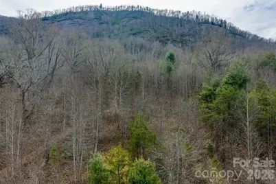 99999 Brush Creek Circle, Fairview, NC 28730 - Photo 10
