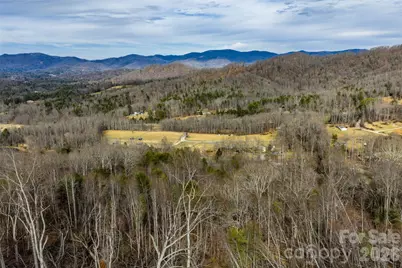 99999 Brush Creek Circle, Fairview, NC 28730 - Photo 6
