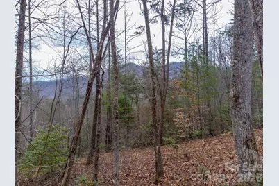 201 Woodhaven Estates, Sylva, NC 28779 - Photo 30