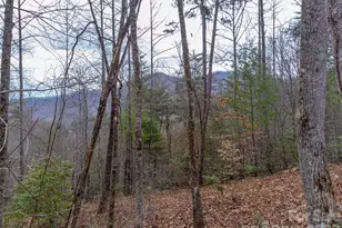 201 Woodhaven Estates, Sylva, NC 28779 - Photo 30