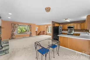 101 Sali Ct, Brevard, NC 28712 - Photo 12