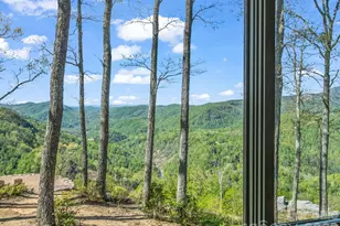 200 Granite Bridge Ct, Black Mountain, NC 28711 - Photo 36