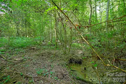 0 Thelma Lane, Hudson, NC 28638 - Photo 10