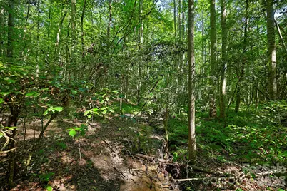 0 Thelma Lane, Hudson, NC 28638 - Photo 12