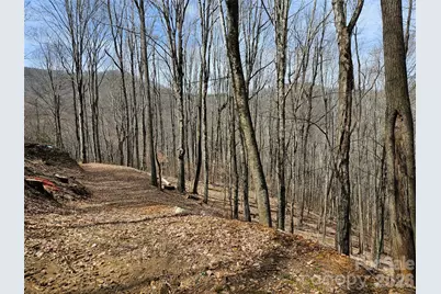 000 Forbidden Cove, Waynesville, NC 28785 - Photo 10