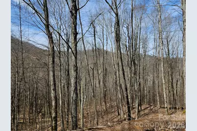 000 Forbidden Cove, Waynesville, NC 28785 - Photo 8