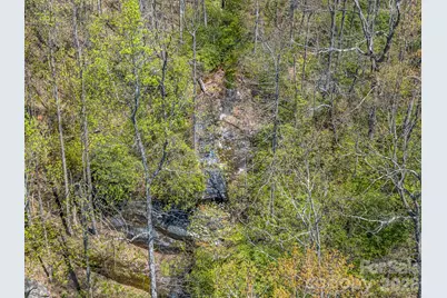 1424 Wolfpen Road, Old Fort, NC 28762 - Photo 44