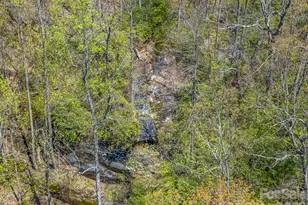 1424 Wolf Pen Rd, Old Fort, NC 28762 - Photo 44