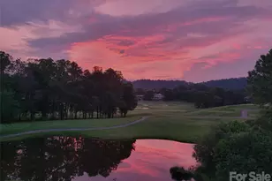 38 Highland Pointe Dr, Weaverville, NC 28787 - Photo 44