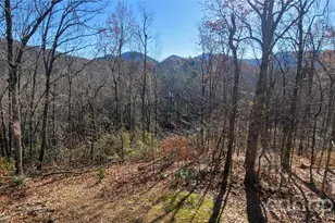 11 Starlight Dr, Black Mountain, NC 28711 - Photo 38