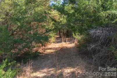 00 Cemetery Road #3, Fort Lawn, SC 29714 - Photo 6
