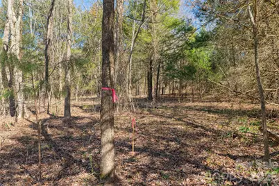 00 Cemetery Road #3, Fort Lawn, SC 29714 - Photo 18