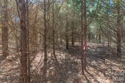 00 Cemetery Road #3, Fort Lawn, SC 29714 - Photo 14