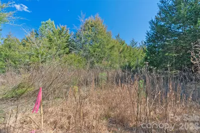 00 Cemetery Road #3, Fort Lawn, SC 29714 - Photo 10