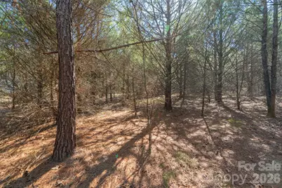 00 Cemetery Road #3, Fort Lawn, SC 29714 - Photo 12