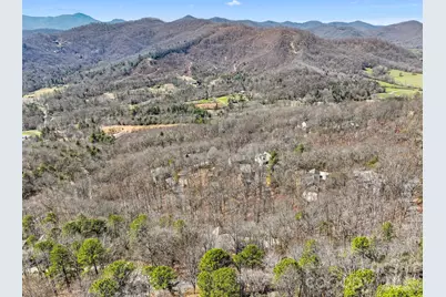 65 Sugar Maple Drive, Mills River, NC 28759 - Photo 42