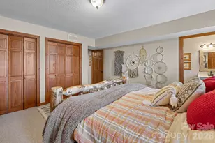 65 Sugar Maple Dr, Mills River, NC 28759 - Photo 32