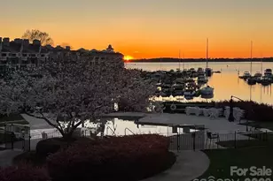 18857 Vineyard Point Ln, Cornelius, NC 28031 - Photo 30