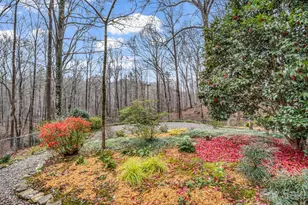 141 Shadow Creek Ln, Columbus, NC 28722 - Photo 32