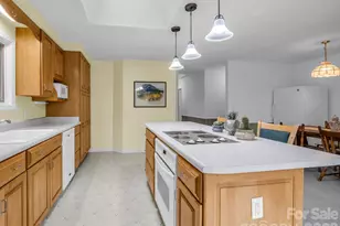 141 Shadow Creek Ln, Columbus, NC 28722 - Photo 10