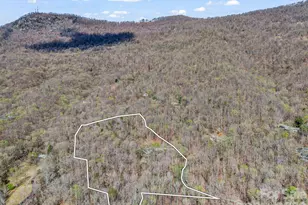 141 Shadow Creek Ln, Columbus, NC 28722 - Photo 48