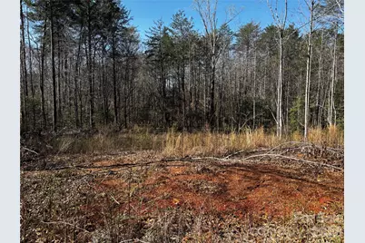 1467 Graycrest Drive, Catawba, NC 28609 - Photo 4