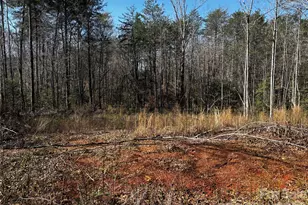 1467 Graycrest Dr, Catawba, NC 28609 - Photo 4